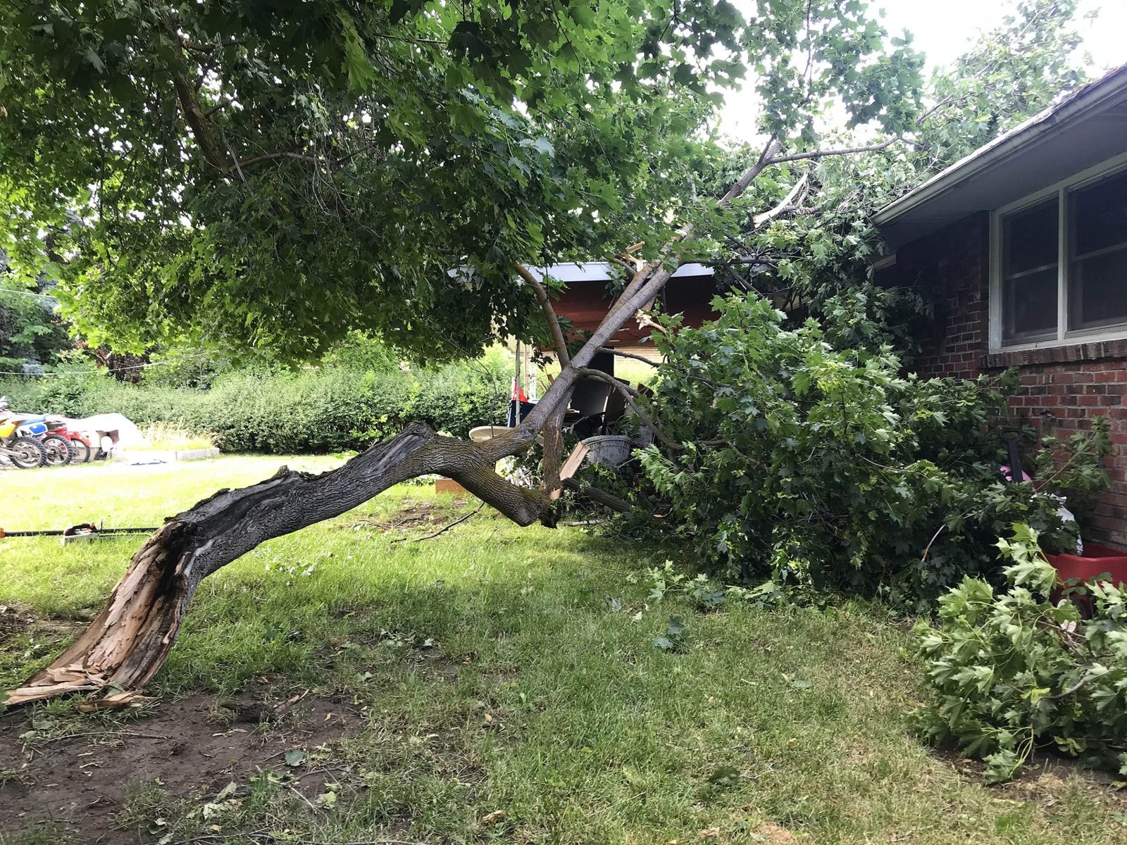 Tree work by Idaho Tree Professionals