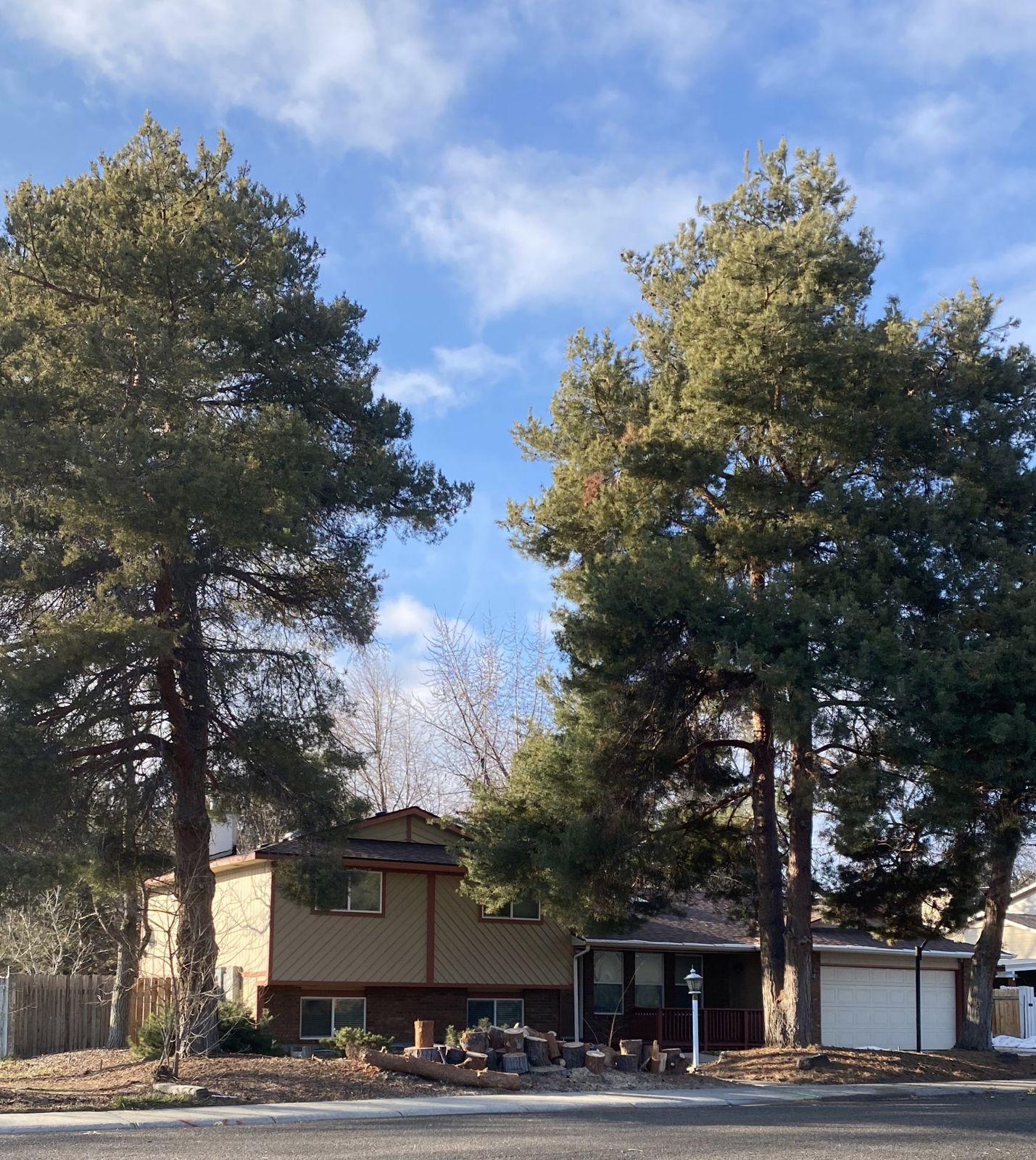 Tree work by Idaho Tree Professionals